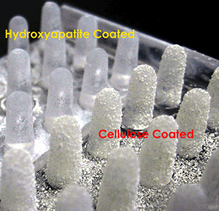 Hydroxyapatite Coated MBEC Assay Lid