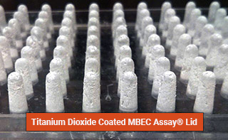 Titanium Dioxide Coated MBEC Assay Lid